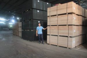 Mr Jackson is standing near many plywood pallets are stacked up on eachother at Phu Cau factory