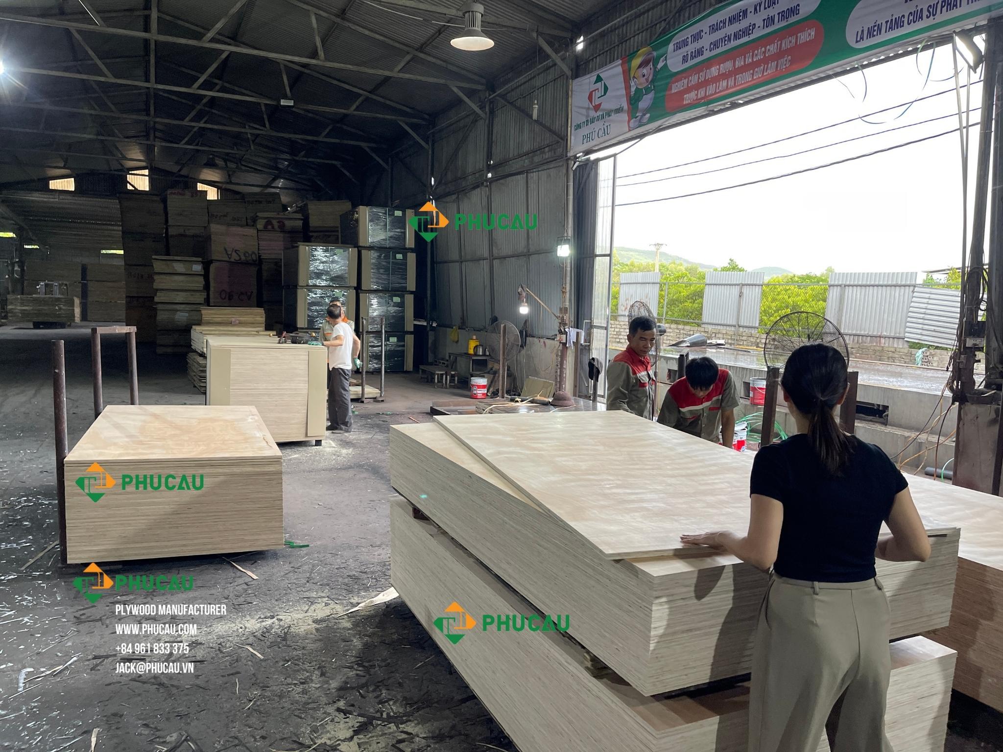 workers are standing near by the stack of Okume AA plywood Phu Cau