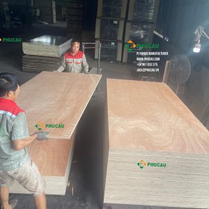 Commercial-Plywood-Phu-Cau-Okume-Faces_Glue-E2-Woodcore-Eucalyptus