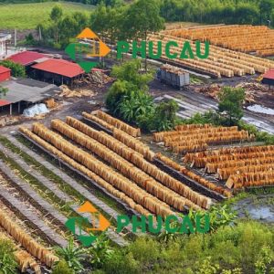 Core veneers drying field at Phu Cau Factory