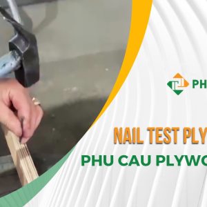 Nail-Test-at-side-of-Plywood-PHU-CAU