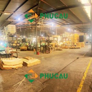 Plywood factory phu cau (2)